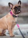 DOG-Copenhagen-collier-pour-chien-resistant-urban-explorer-rose