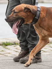 DOG-Copenhagen-collier-pour-chien-resistant-urban-explorer-noir