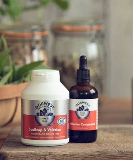 Dorwest-Scullcap-Valériane-chien-chat-anti-stress