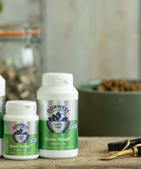 Dorwest-green-releaf-articulation-chien-chat