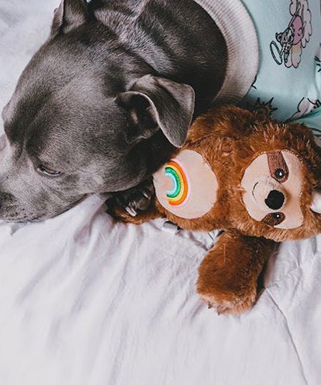 Fringe-petshop-peluche-design-chien-289333-Rainbow-Slothicorn