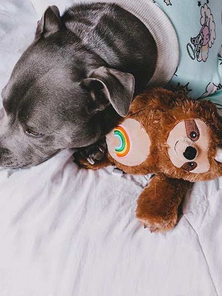 Fringe-petshop-peluche-design-chien-289333-Rainbow-Slothicorn