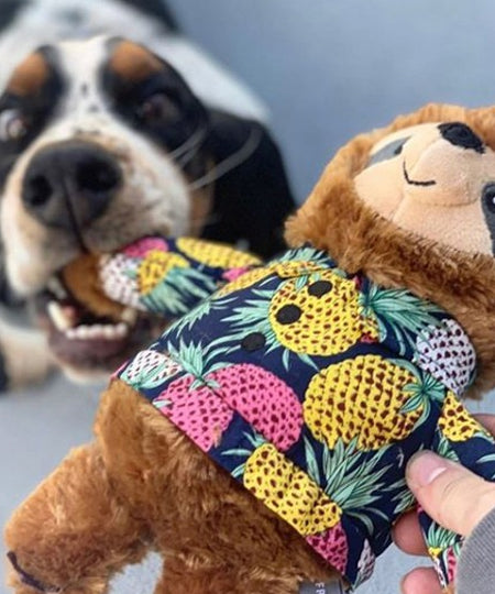 Fringe-petshop-peluche-design-chien-289359-Vacay-Vibes-Sloth