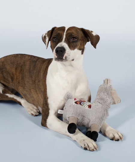 Fringe-petshop-peluche-design-chien-289362-llama-chill