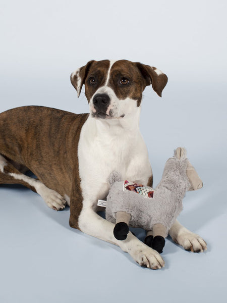 Fringe-petshop-peluche-design-chien-289362-llama-chill