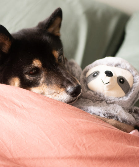 Fringe-petshop-peluche-design-chien-289376-Sloffee