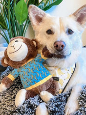 Fringe-petshop-peluche-design-chien-289656-monkey-banana