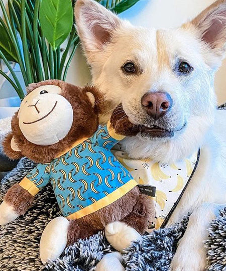 Fringe-petshop-peluche-design-chien-289656-monkey-banana