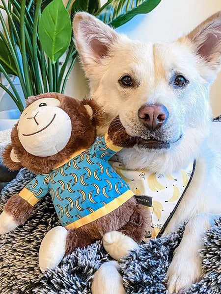 Fringe-petshop-peluche-design-chien-289656-monkey-banana