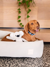 Fuzzyard-life-peluche-pour-chien-koala