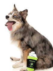 Fuzzyard-peluche-pour-chien-hallowwen-monster-brew-frankenstein