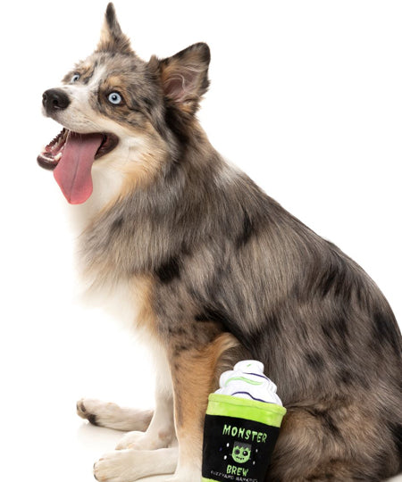 Fuzzyard-peluche-pour-chien-hallowwen-monster-brew-frankenstein