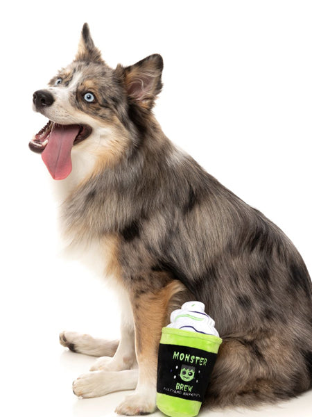 Fuzzyard-peluche-pour-chien-hallowwen-monster-brew-frankenstein