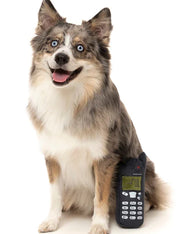 Fuzzyard-peluche-pour-chien-retro-portable-nokia-nokidog