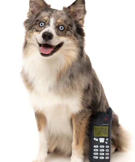 Fuzzyard-peluche-pour-chien-retro-portable-nokia-nokidog