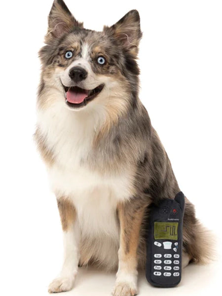 Fuzzyard-peluche-pour-chien-retro-portable-nokia-nokidog