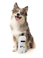 Fuzzyard-peluche-pour-chien-retro-telephone-The-Brick