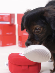 Howlpot-jouet-interactif-petit-moyen-chien-boite-chaussure-shoes-box