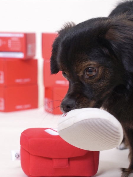 Howlpot-jouet-interactif-petit-moyen-chien-boite-chaussure-shoes-box