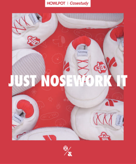 Howlpot-jouet-interactif-petit-moyen-chien-boite-chaussure-shoes-box-2