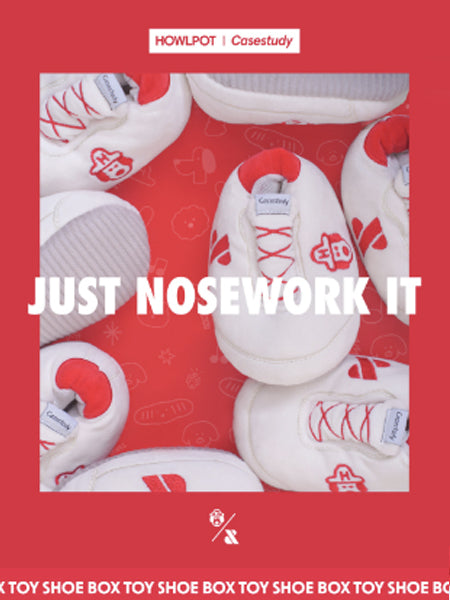 Howlpot-jouet-interactif-petit-moyen-chien-boite-chaussure-shoes-box-2