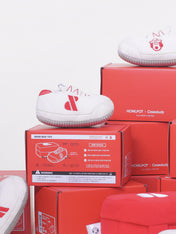 Howlpot-jouet-interactif-petit-moyen-chien-boite-chaussure-shoes-box