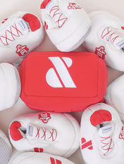 Howlpot-jouet-interactif-petit-moyen-chien-boite-chaussure-shoes-box