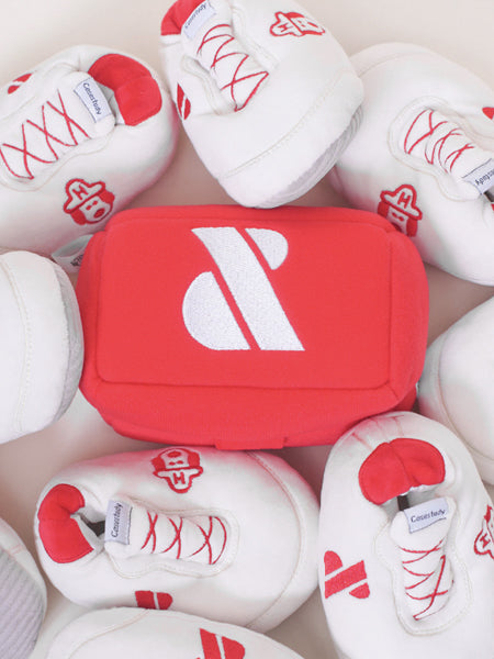 Howlpot-jouet-interactif-petit-moyen-chien-boite-chaussure-shoes-box