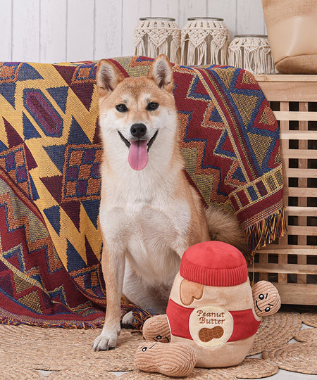 HugSmart-peluche-interactive-pour-chien-chiot-beurre-de-cacahuete
