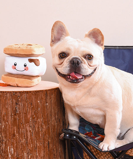 HugSmart-peluche-interactive-pour-chien-chiot-camping-S_mores