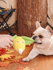 HugSmart-peluche-interactive-pour-chien-chiot-camping-mais