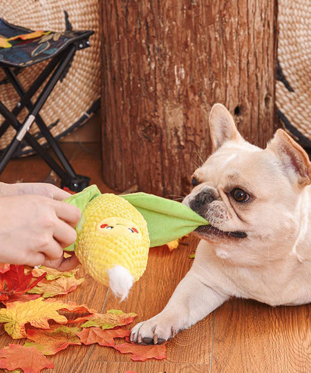 HugSmart-peluche-interactive-pour-chien-chiot-camping-mais