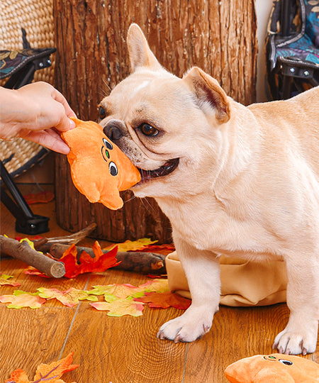 HugSmart-peluche-interactive-pour-chien-chiot-feuille-automne