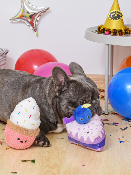 HugSmart-peluche-interactive-pour-chien-chiot-cupcake