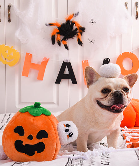 HugSmart-peluche-interactive-pour-chien-chiot-howloween-ghost-pumpkin