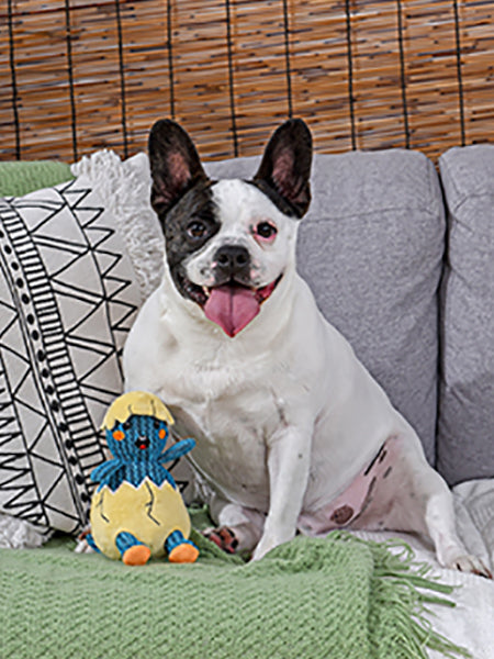 HugSmart-peluche-interactive-pour-chien-chiot-oeuf-dinosaure