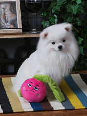 HugSmart-peluche-interactive-pour-chien-chiot-radis