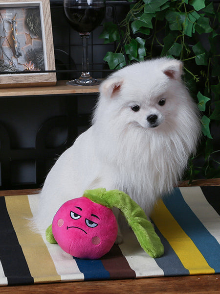 HugSmart-peluche-interactive-pour-chien-chiot-radis