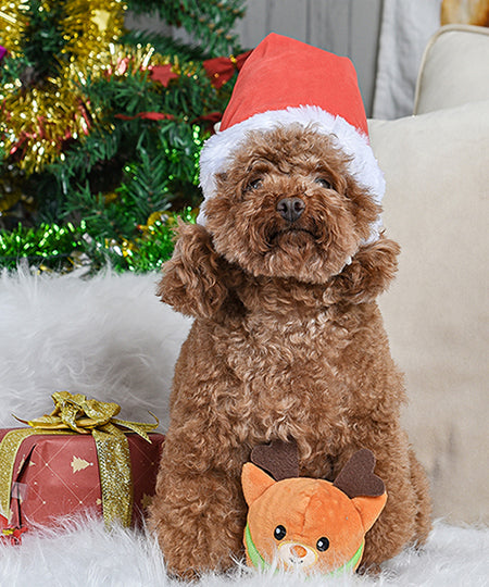 HugSmart-peluche-interactive-pour-chien-chiot-renne