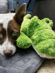 Jouet-KONG-peluche-Cozie-Ali-Alligator-X-Large-pour-chien