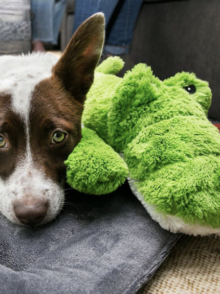 Jouet-KONG-peluche-Cozie-Ali-Alligator-X-Large-pour-chien