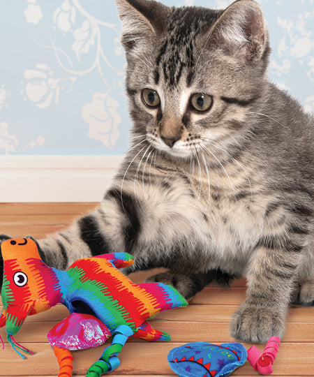 Jouet-interactif-KONG-herbe-a-chat-chat-Pull-A-Partz-Pinata