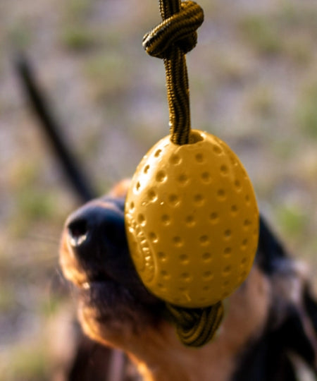 Kiwi-walker-Jouet-en-corde-balle-pour-chien-egg-jaune