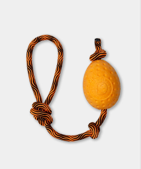 Kiwi-walker-Jouet-en-corde-balle-pour-chien-egg-jaune