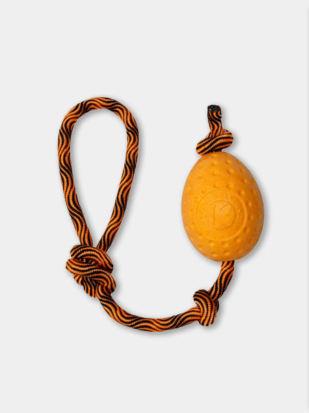 Kiwi-walker-Jouet-en-corde-balle-pour-chien-egg-jaune