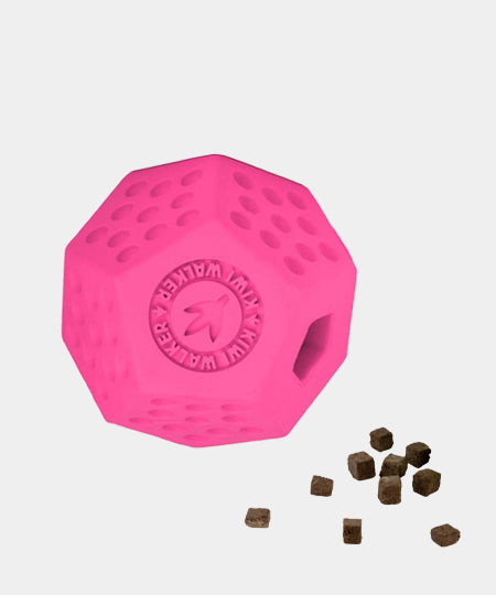 Kiwi-walker-Jouet-occupation-pour-chien-Dodecaball-Rose