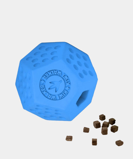 Kiwi-walker-Jouet-occupation-pour-chien-Dodecaball-bleu