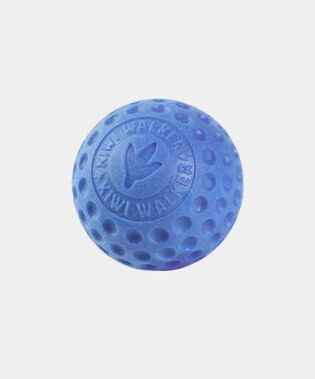 Kiwi-walker-balle-TPR-pour-chien-chiot-bleu