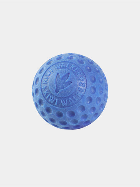 Kiwi-walker-balle-TPR-pour-chien-chiot-bleu