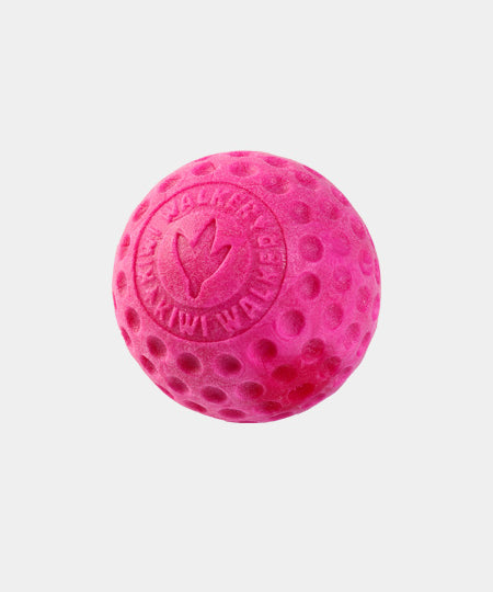 Kiwi-walker-balle-TPR-pour-chien-chiot-rose